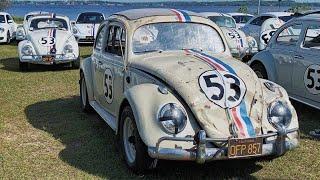 Celebrating 50 Years of Herbie The Love Bug