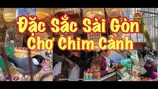 CHỢ CHIM CẢNH THUẬN KIỀU CÓ GÌ || VIETNAM ORNAMENTAL BIRD SHOP