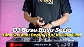 DJ BIAR SA BUSU BEGINI TAPI KO CARI CARI TIKTOK | DJ BUSU BUSU SETIA (BUSET) REMIX FULL BASS TERBARU