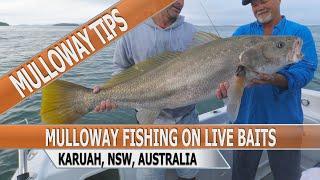 Fishing Edge Episode - Fishing For Mulloway On Live Baits