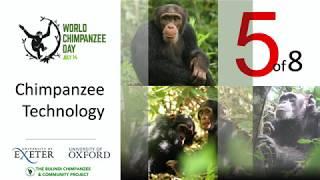 5 - Chimpanzee Technology