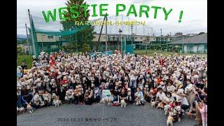 RECORD BREAKING Westie Party 2024 | 600 Westies | 白い犬 祭り | ウェスティパーティー | Dog Dash Cam