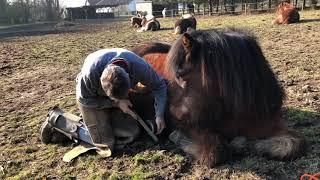 The most caring trimmer in the world - Ian Whatley