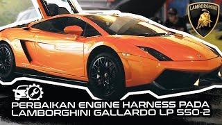 Lamborghini Bali Mati, Kerusakan Pada Engine Harness | Bengkel Lamborghini Supercar.id