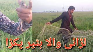 WAHA KIYA BATAIRA PAKRDA!!BATAIR HUNTING ! BY DESI MAHOOL TV