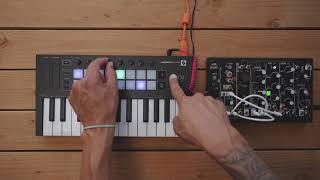 Arpeggiator - Launchkey Mini // Novation