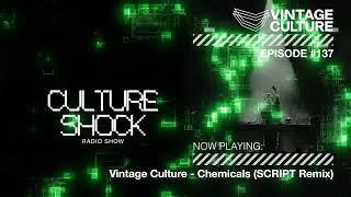 Vintage Culture - Culture Shock #137