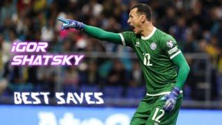 BEST SAVES | IGOR SHATSKY | ИГОРЬ ШАЦКИЙ | FC ШАХТЕР