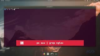 02 - Instalando Nginx en Ubuntu