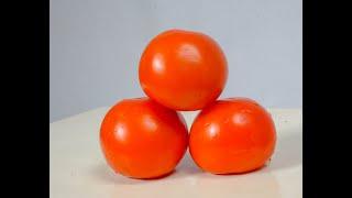 Variety selection in Tomato