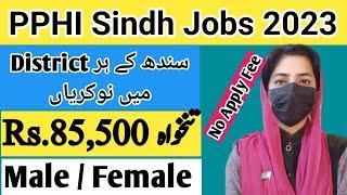 Public Health Sindh (PPHI) Jobs 2023 - Latest Govt Jobs in Pakistan 2023 - Sanam Dilshad