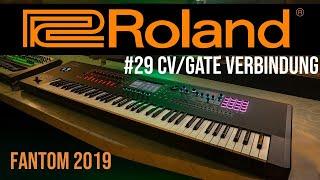 Roland Fantom #29 | CV/GATE Verbindung