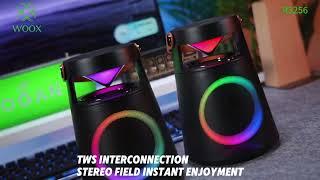 "Party Anywhere! 30W Wireless Speaker with RGB Beat Lights & 10H Playtime (2025 Model)" - R3256