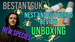 Bestantsuk Nest Review and Unboxing | New Ant Species