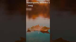 Naturopathy: Holistic Healing Modality #healingtechniques #holistichealing #naturopathy