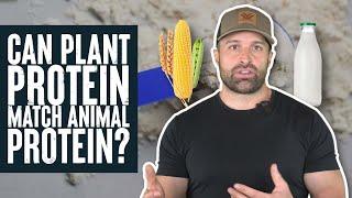 Can Plant Protein Match Animal Protein? | Educational Video | Biolayne