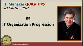 IT Organization Progression