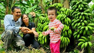 Vắng Mẹ chồng, tự tay chăm sóc gia đình: Từ thu hoạch, đi chợ bán đến tận hưởng bữa ăn ngon