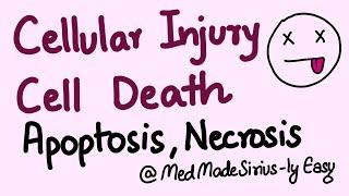 Cellular Injury and Cell Death, Apoptosis/Necrosis and Types of Necrosis