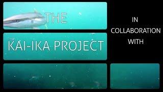 The Kai Ika Project