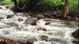 Ayyanar Falls, Rajapalayam