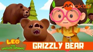 GRIZZLY BEAR  Cub RESCUE Adventure!  | Leo the Wildlife Ranger Spinoff S6E04 | @mediacorpokto