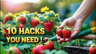  10 GARDENING HACKS THAT ACTUALLY WORK!  Grow Strawberries at Home Like a Pro!