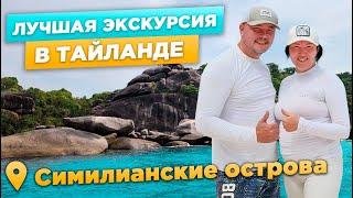 СИМИЛАНСКИЕ ОСТРОВА — райское место в Тайланде | подводный мир и природа как на Мальдивах