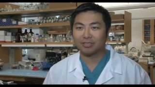 Brain Cancer Research - Glioblastoma and Glioma | UCLA Neurosurgery