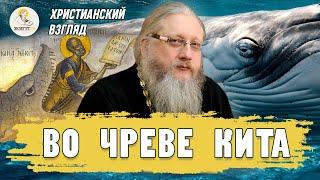 ВО ЧРЕВЕ КИТА. Христианский взгляд. Иеромонах Нектарий (Соколов)