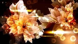 Flower wedding  - LED Background 4K