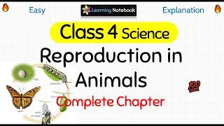 Class 4 Science Reproduction in Animals