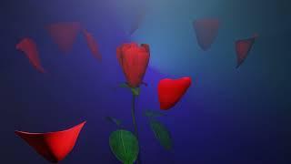 rose petals falling green screen effects animation green screen rose effect backgroundred