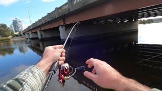 Best Soft Plastic You've Never Heard Of- Fishing Swan River Perth (Land-based Bream)