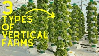 Vertical Farming 2024 | 3 Different  Types Of Vertical Farms