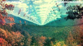 Tame Impala - InnerSpeaker (Full Album)