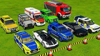 TRANSPORTING FIVE COLOR LIZARD PROTECTOR, LIZARD SANTANA, LIZARD SANTANA PICKUP, LAND ROVER! - FS 22