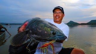 Memorable Snakehead Thailand 2013