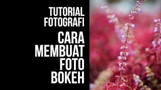 Tutorial Fotografi: Cara Membuat Foto Bokeh