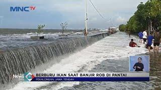 Sejumlah Warga di Kawasan Pekalongan Berburu Ikan saat Banjir ROB di Pantai #LintasiNewsSiang 25/05