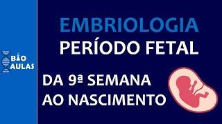 Período Fetal - Da Nona Semana ao Nascimento | Idade Fetal | Data do Parto (Embriologia Humana)