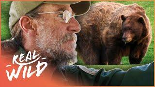 Wild Bear Breaks And Enters | The Bear Whisperer | Real Wild