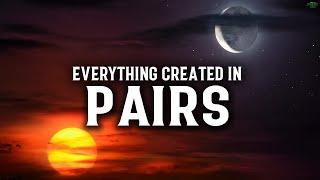 ALLAH'S WISDOM BEHIND CREATING EVERYTHING IN PAIRS