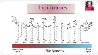 Lipidomics Part 8