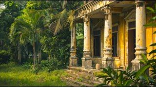 Restoration of an abandoned house. Taming the Overgrowth: Lawn Mowing Magic in a Neglected Yard