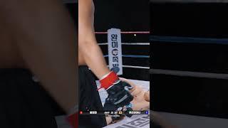 UFC 방태현 VS 야쿠자 쿠리바야시