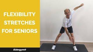 Flexibility Stretches for Seniors, stretching for elderly, increase range of motion for older adults