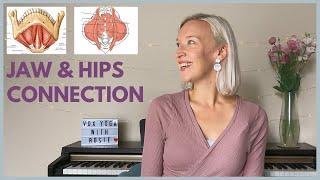 Jaw - Hips - Pelvis Connection. Understand about the anatomy and link between jaw and hip tension 