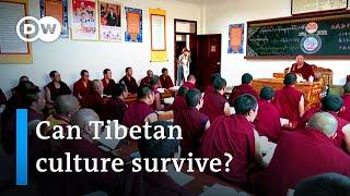 Tibet's culture in peril after 70 years of Chinese rule | DW News