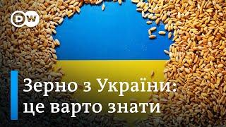 Зерно на продаж: чому це так потрібно Україні і світу? | DW Ukrainian